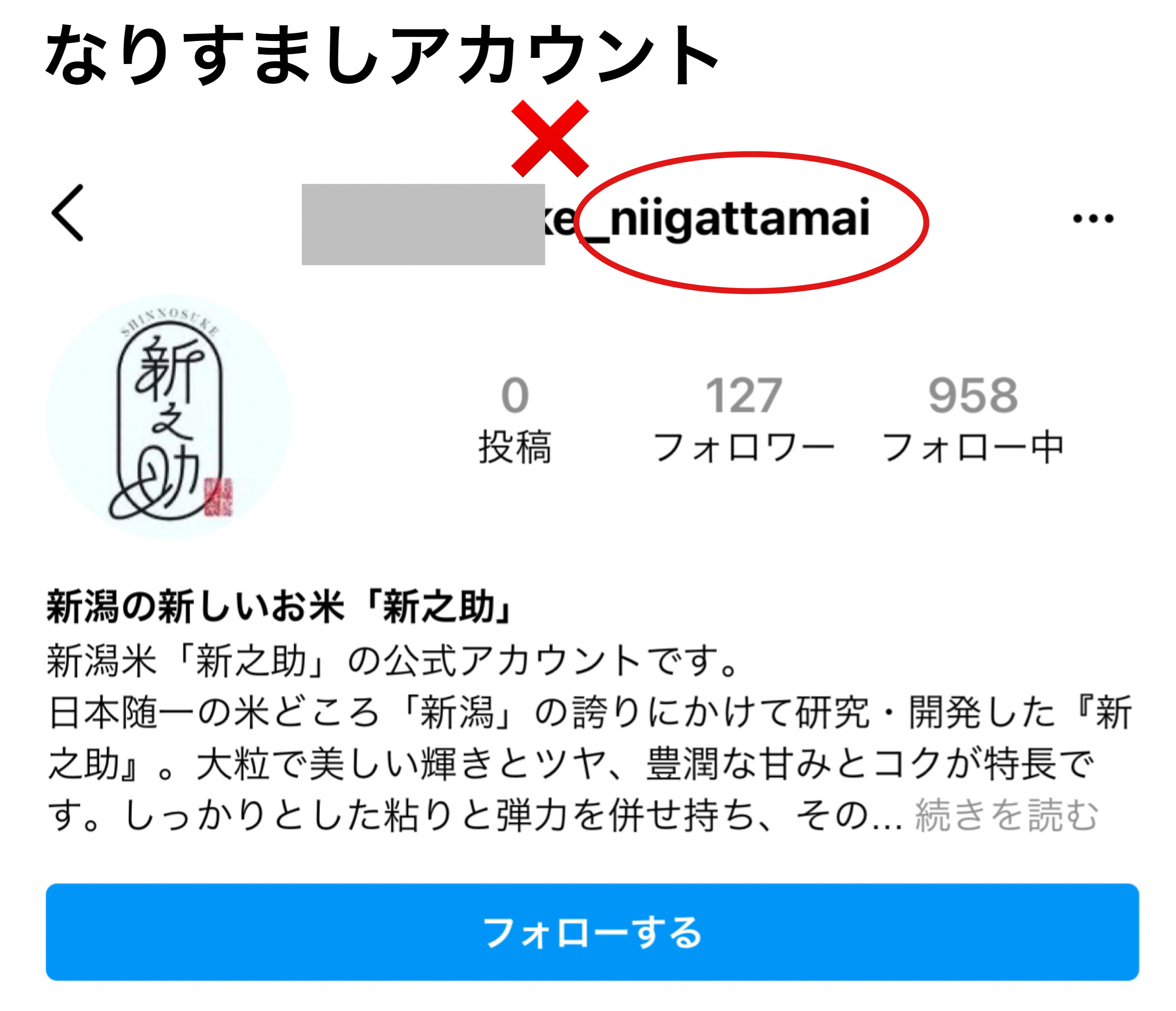 お知らせ｜新潟県の水稲新品種 「新之助 しんのすけ」