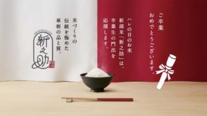 新潟米「新之助 しんのすけ」