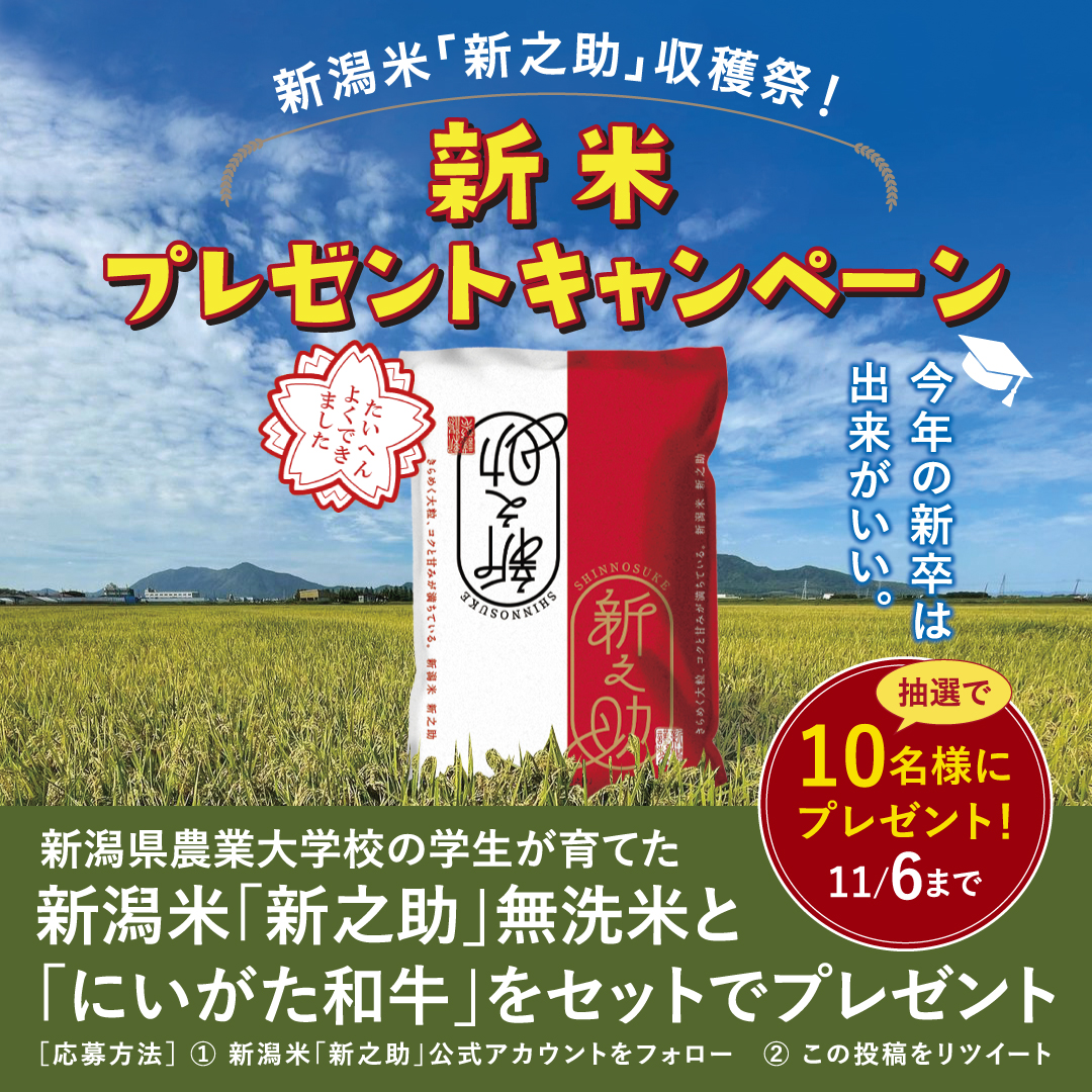 数々のアワードを受賞】 新之助様 general-bond.co.jp